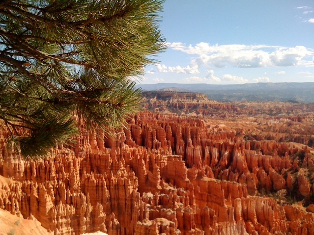 Bryce canyon e dintorni 136